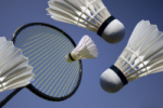 Bild Badminton
