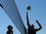 Bild Volleyball